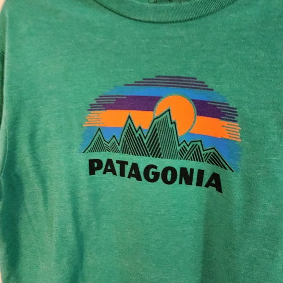 Patagonia Teal T-Shirt with Vibrant Graphic. Slim Fit. Brand New Without Tag - Picture 5 of 6